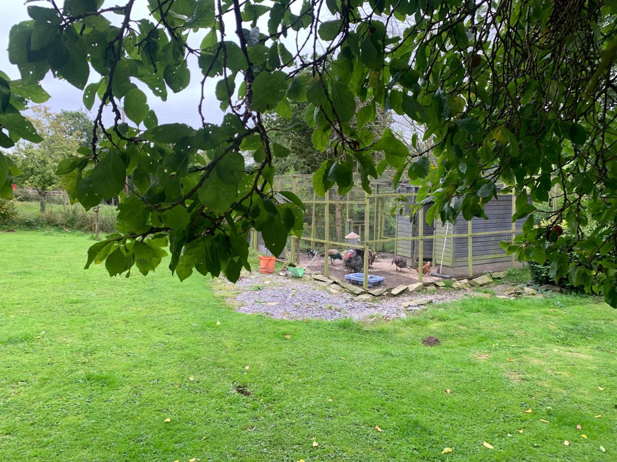 Stunning 2-Bed Cabin In Nantglyn デンビー エクステリア 写真